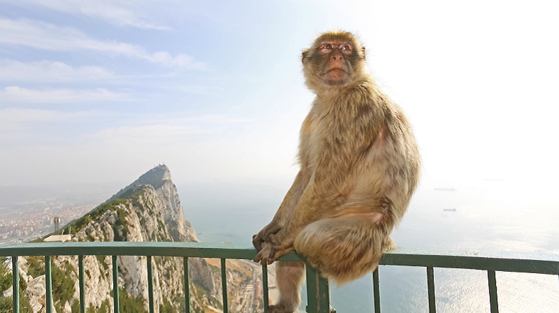 I Rota/Utflukt til Gibraltar (mot tillegg)